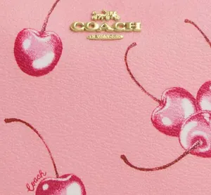 Coach Nolita 19 With Cherry Print cr827 thumbnail 13