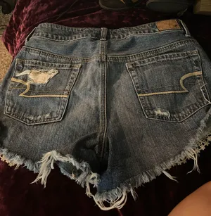 American Eagle Shorts  thumbnail 2