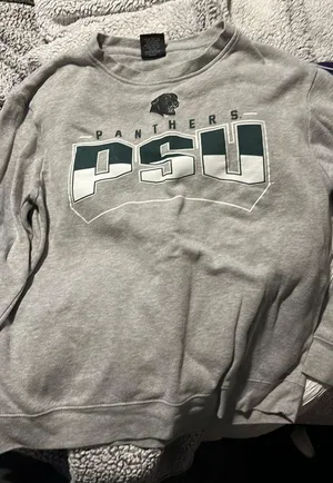Gray Sweatshirt Size M thumbnail 1