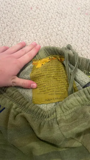 Aviator Nation Sweatpants thumbnail 5