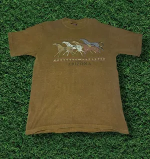 American Vintage Arizona Mud Wash Tee thumbnail 1