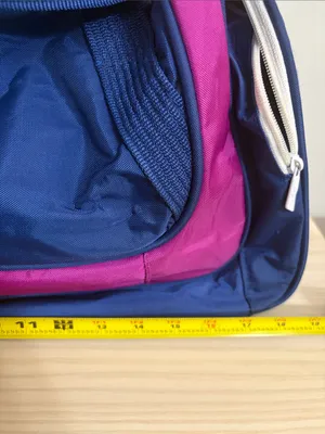 Reebok Vintage Blue and Magenta Duffel gym bag thumbnail 7