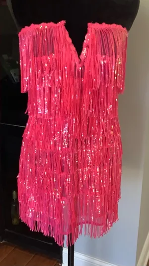 Dressy sequined fringe top NWT 💖💖💖 thumbnail 1