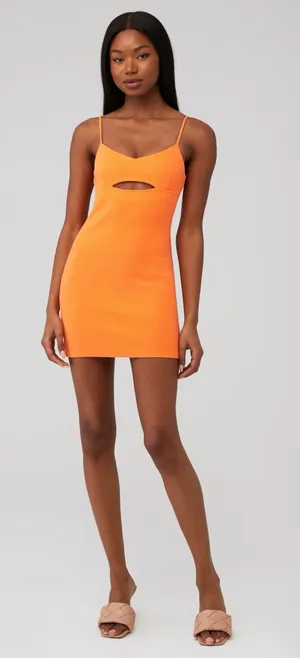 BB Dakota Dress thumbnail 1