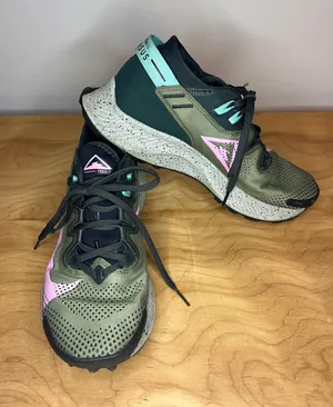 Nike Pegasus Trail 2 Running Shoes  thumbnail 1