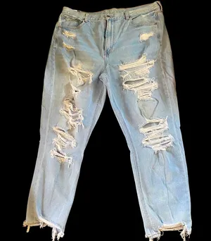American Eagle 🦅 Mom Jeans thumbnail 1