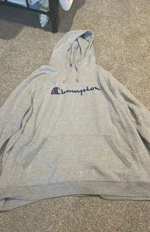 Champion Gray Hoodie thumbnail 1
