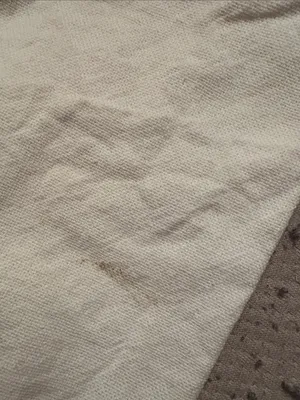 Celine xl dust bag thumbnail 4