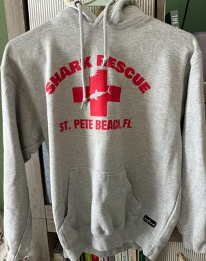 Hoodie thumbnail 1