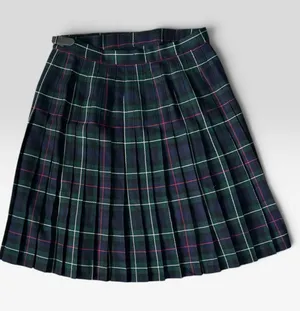 Charter Club Green & Navy Plaid Tartan Pleated Skirt 100% Wool thumbnail 1