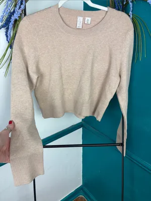 Joie Cropped Crewneck Sweater in Light Beige thumbnail 1