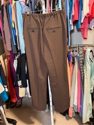BROWN NWOT Free People Tyler Menswear Trousers Pants thumbnail 7