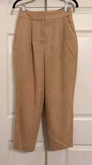 Express Stylist Ankle Pants thumbnail 1