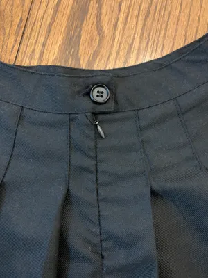 Forever 21 Pleated Skirt thumbnail 2