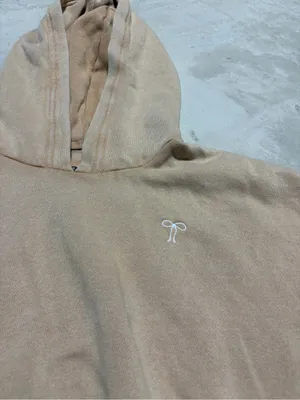 Aerie Embroidered bow Logo Beige Hooded Sweatshirt small thumbnail 5