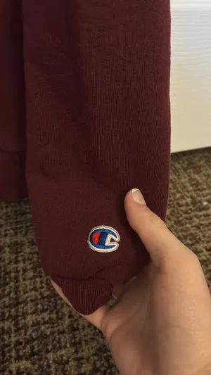 Harvard Champion Sweatshirt University thumbnail 2