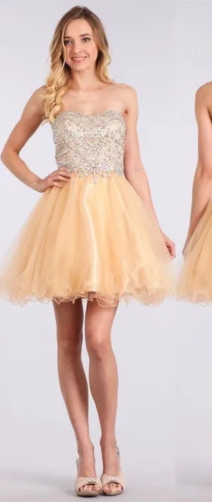 Champagne‎ dress Size XXL thumbnail 1