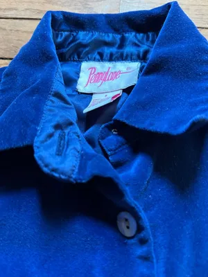 Vtg 80s 90s Blue Velvet Button Down Shirt Womens S Gothic Whimsigoth Blouse thumbnail 3