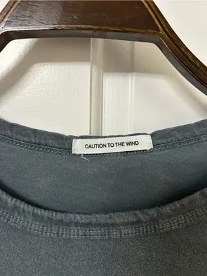 Caution To The Wind Washed Charcoal Cropped Crewneck Tee thumbnail 2
