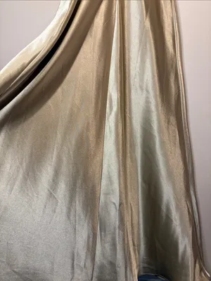 Birdy Grey NWT Lisa Long Shiny Satin Dress Neutral Champagne Size M thumbnail 10