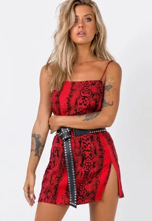 Snakeskin Slip Dress And Belt thumbnail 1