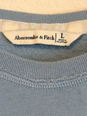 Abercrombie & Fitch signature velour initials Sweatshirt, periwinkle blue, sz L thumbnail 2