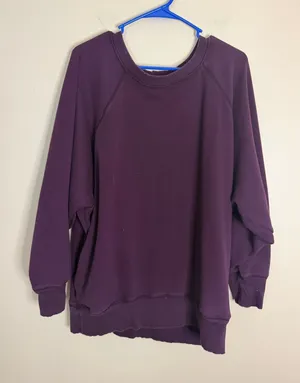 aerie Relaxed Crewneck Sweatshirt in Plum thumbnail 1