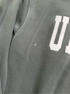 Unwell Crewneck Sweatshirt in Sage Green thumbnail 4