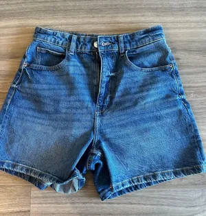 Zara Jean Shorts  thumbnail 1