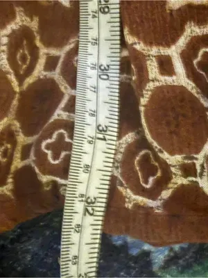 Liz Baker Red and Brown Patterned Maxi Skirt thumbnail 4