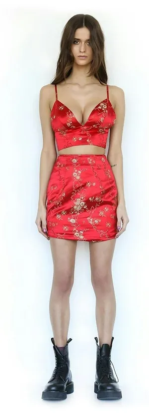 I.AM.GIA. Red Floral Jacquard Satin V-Neck Cropped Top Size Small thumbnail 1