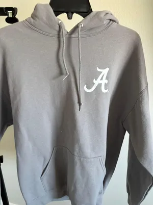 Champion Busy being s alabama hoodie thumbnail 1