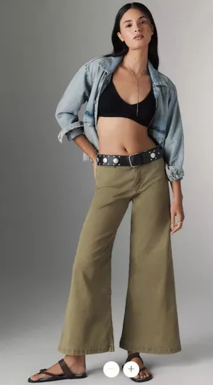 Anthropologie Pilcro Crop Wide-Leg Pants thumbnail 1
