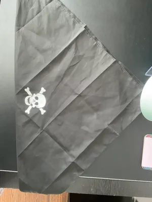 Pirate Costume Accessories thumbnail 4
