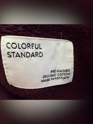 Colorful Standard Organic Oversized Hoodie in Oxblood Red Large thumbnail 9