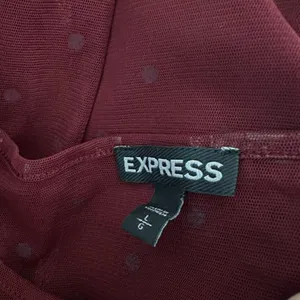 Express Sheer Fairy Top Polka Dot Burgundy Dark Vampire Fall Whimsigoth Large thumbnail 3