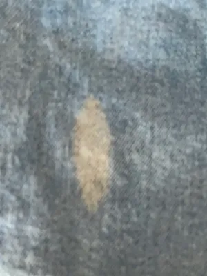 Wild Fable Jeans thumbnail 2