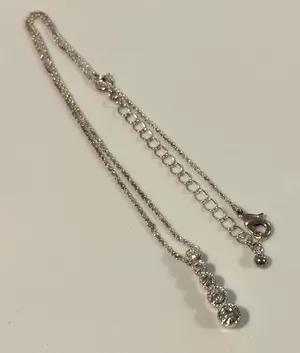 NWOT Silver Necklace thumbnail 1