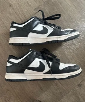 Nike Dunk thumbnail 1