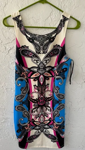 Forever 21 Dress 👗 (Brand New) thumbnail 1