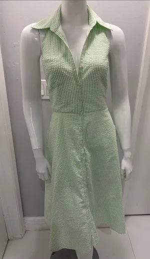 Spenser Jeremy Sleeveless Green Seersucker Button-Front Dress thumbnail 1