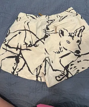 North face shorts  thumbnail 1