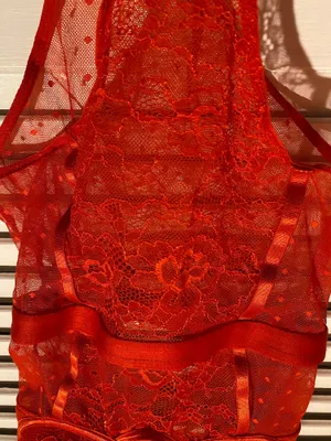 TJ Maxx teddy lingerie thumbnail 2