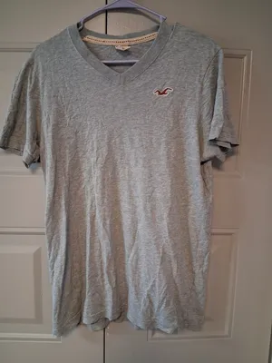 Hollister v-neck t-shirt bird logo on left chest short sleeve in gray grey size large. thumbnail 1