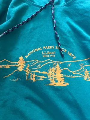 LL‎ Bean medium hoodie Green thumbnail 7