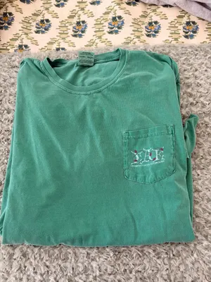 Comfort Colors South Carolina Fraternity Tshirt thumbnail 2