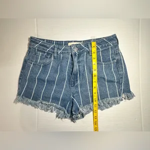PacSun L.A. Womens Window Pane High Rise‎ Distressed Festival Shorts Size 28 thumbnail 4