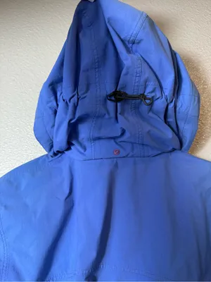 Patagonia GORE-TEX Rain Shell‎ Jacket Women’s S Blue Hooded Waterproof Hiking thumbnail 11