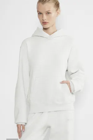 Aritzia Cozy Fleece Perfect Hoodie thumbnail 1