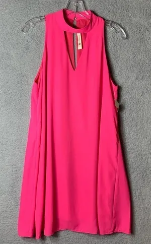 Impeccable Pig Shift Dress Large NWT Hot Pink Barbiecore Lined V-Neck Flowy‎ thumbnail 1
